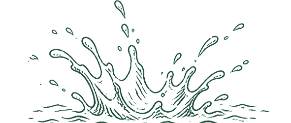 splash